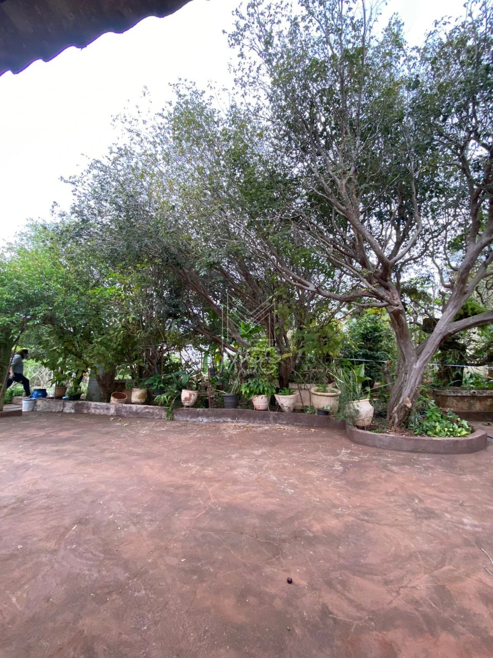 Chácara Molhada - Rio Jacutinga