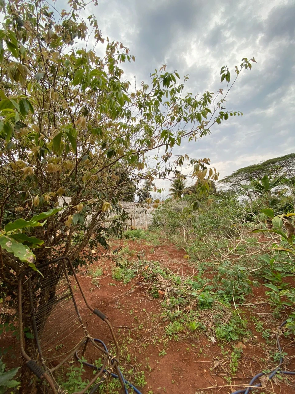 Chácara Molhada - Rio Jacutinga