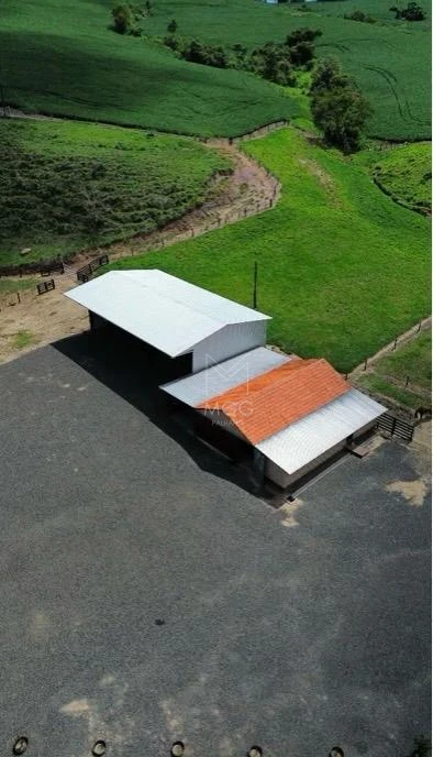 fazenda em Candido de Abreu -PR beira de pista