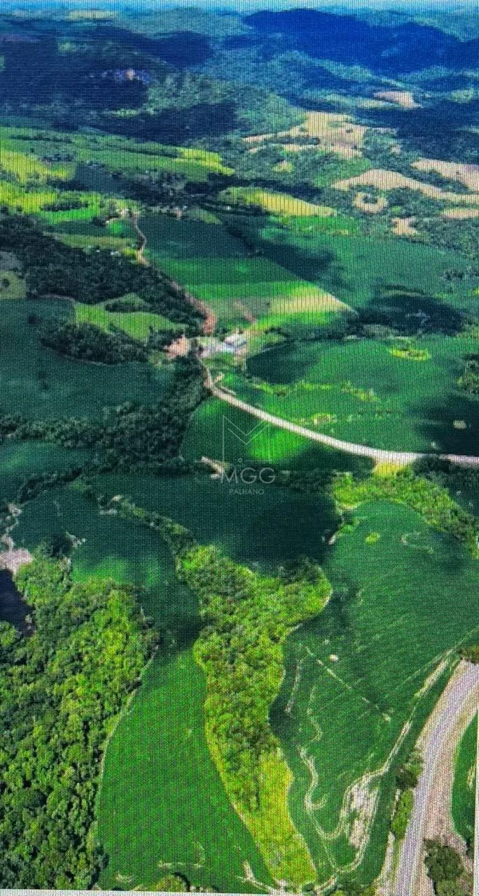 fazenda em Candido de Abreu -PR beira de pista