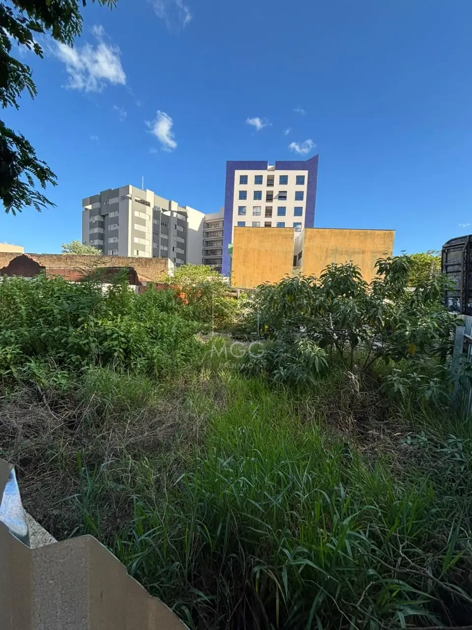 Terreno Urbano Av. Duque de Caixias