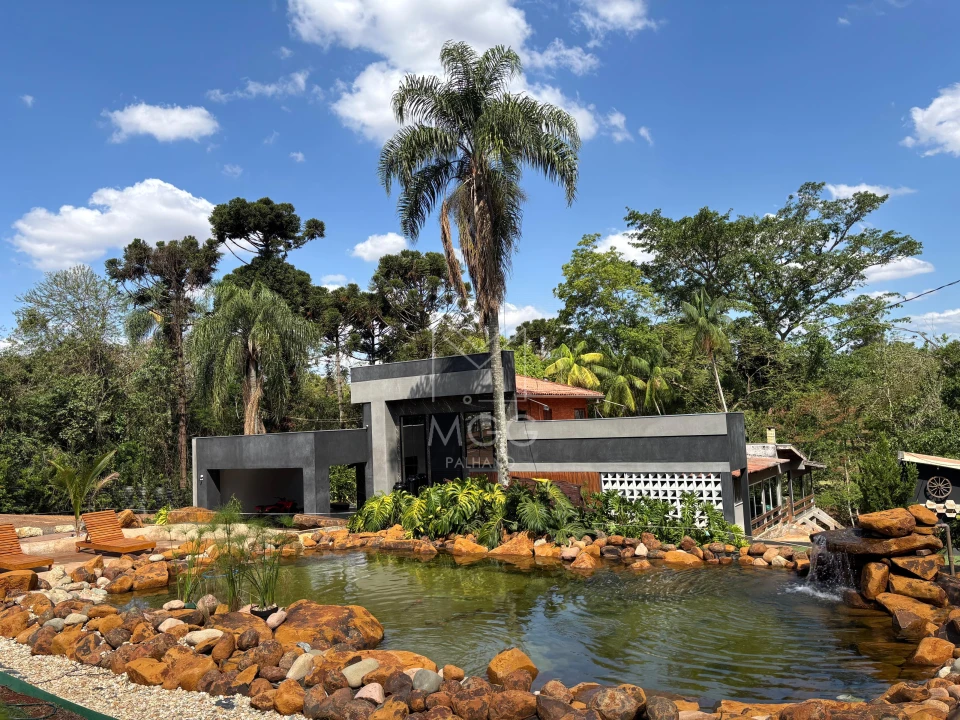 Haras próximo a pista em rolândia