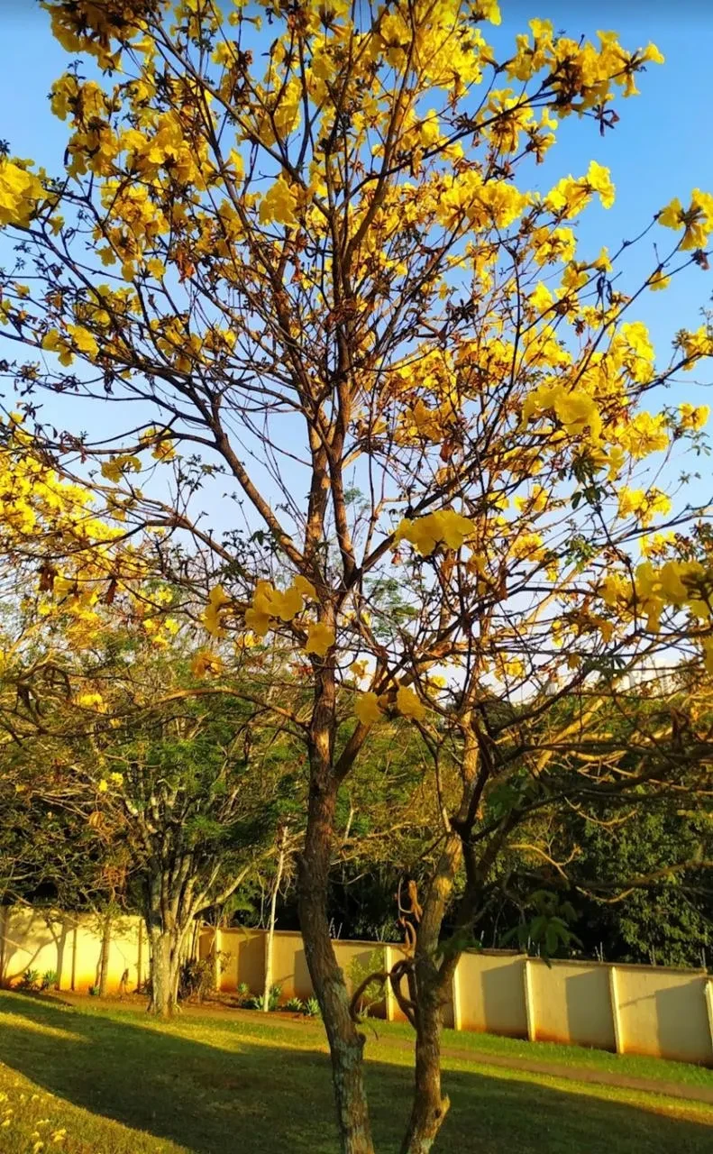 CASA CONDOMÍNIO VALE DAS ARAUCÁRIAS