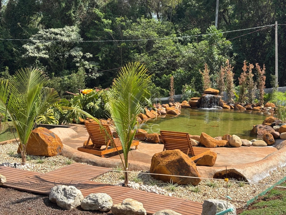 Haras próximo a pista em rolândia