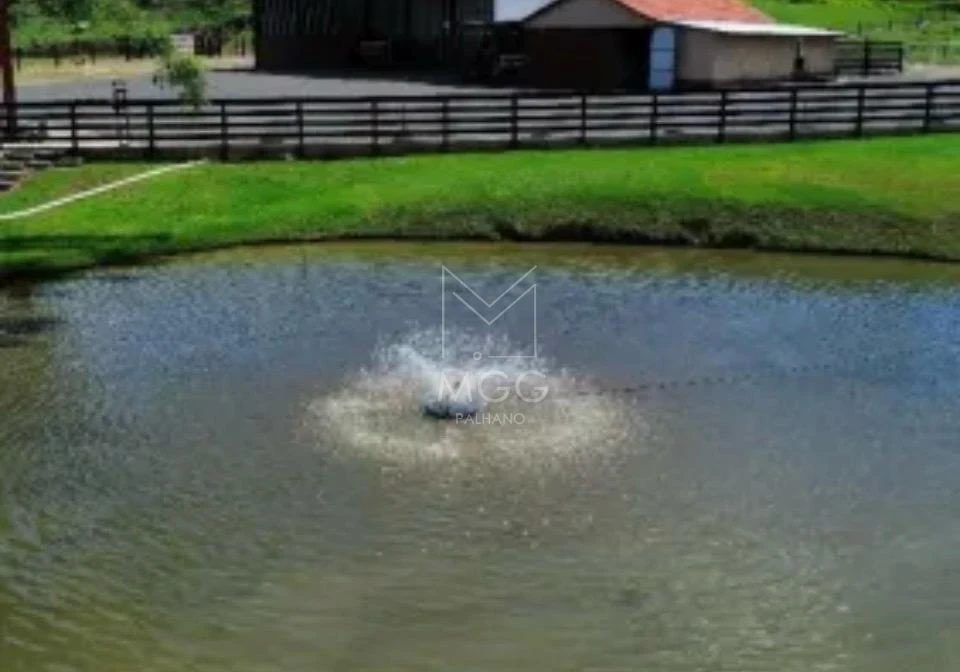 fazenda em Candido de Abreu -PR beira de pista