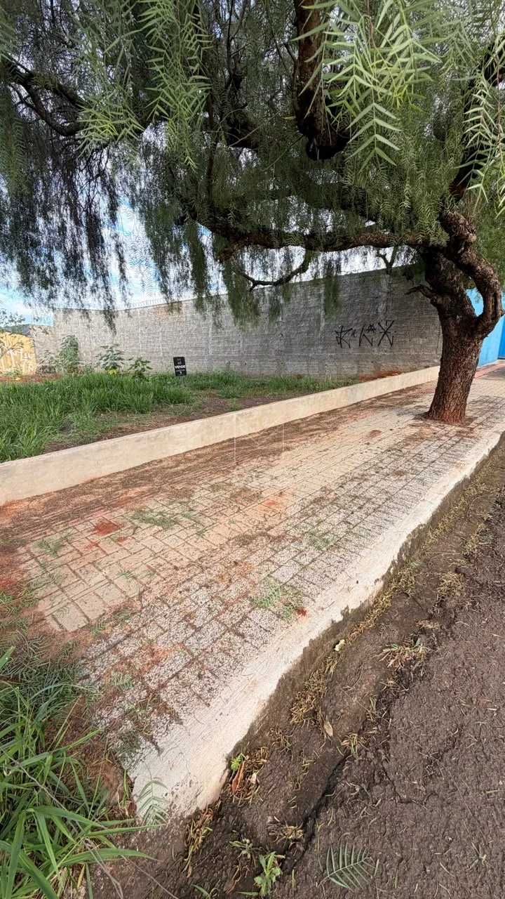 Terreno Pq Leblon - Zona Norte
