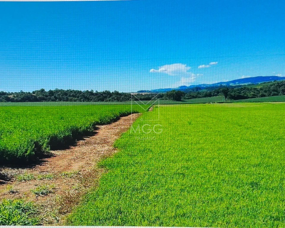 fazenda em Candido de Abreu -PR beira de pista