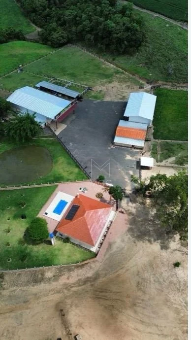 fazenda em Candido de Abreu -PR beira de pista