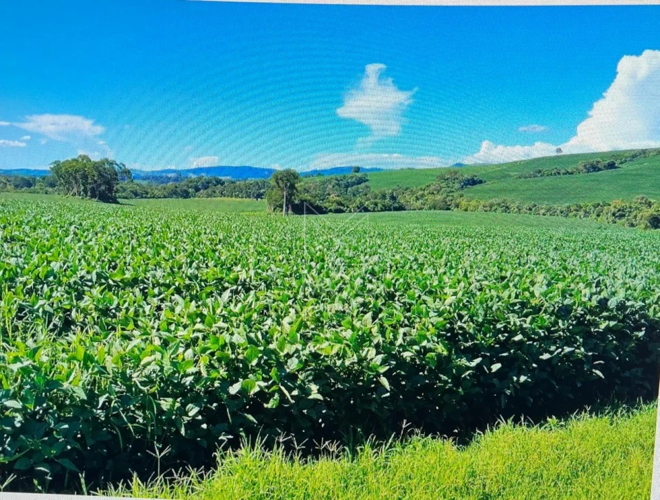 fazenda em Candido de Abreu -PR beira de pista