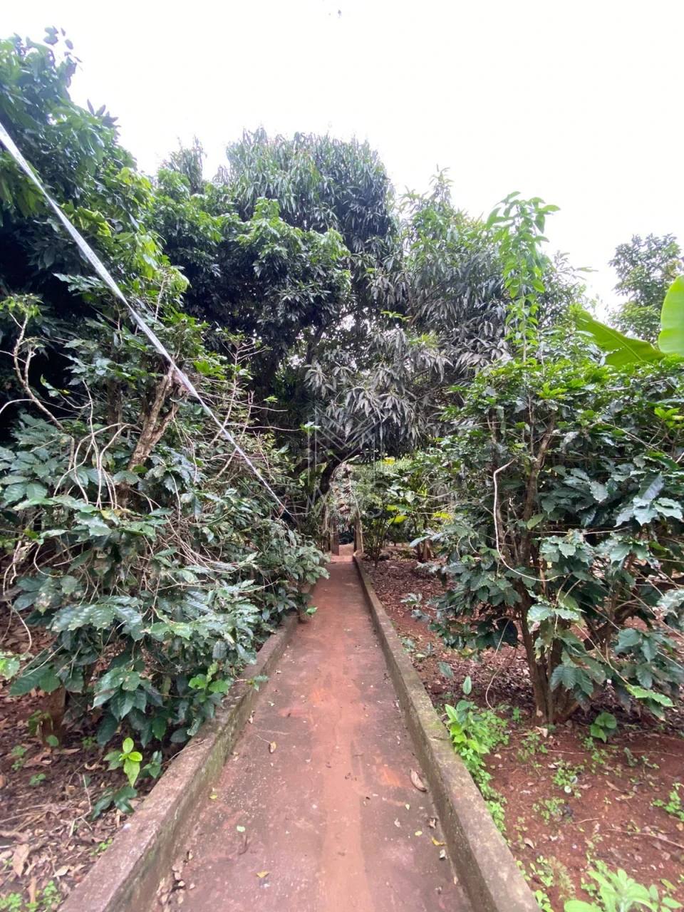 Chácara Molhada - Rio Jacutinga