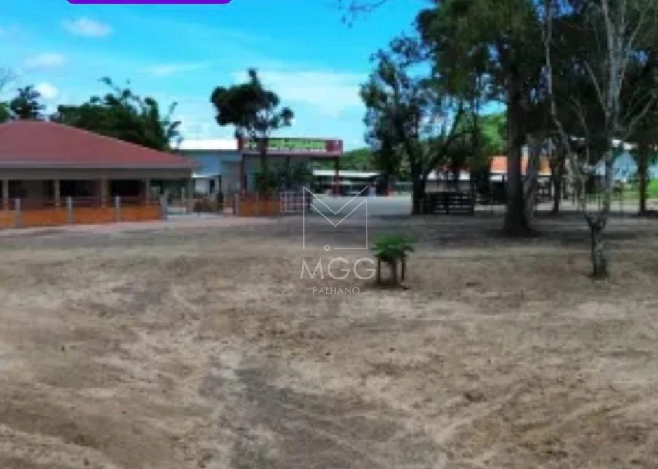 fazenda em Candido de Abreu -PR beira de pista