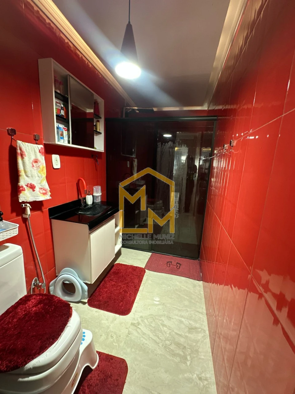 Imagens do imóveis Casa Em Condomínio Á Venda Rios Do Pará Ananindeua