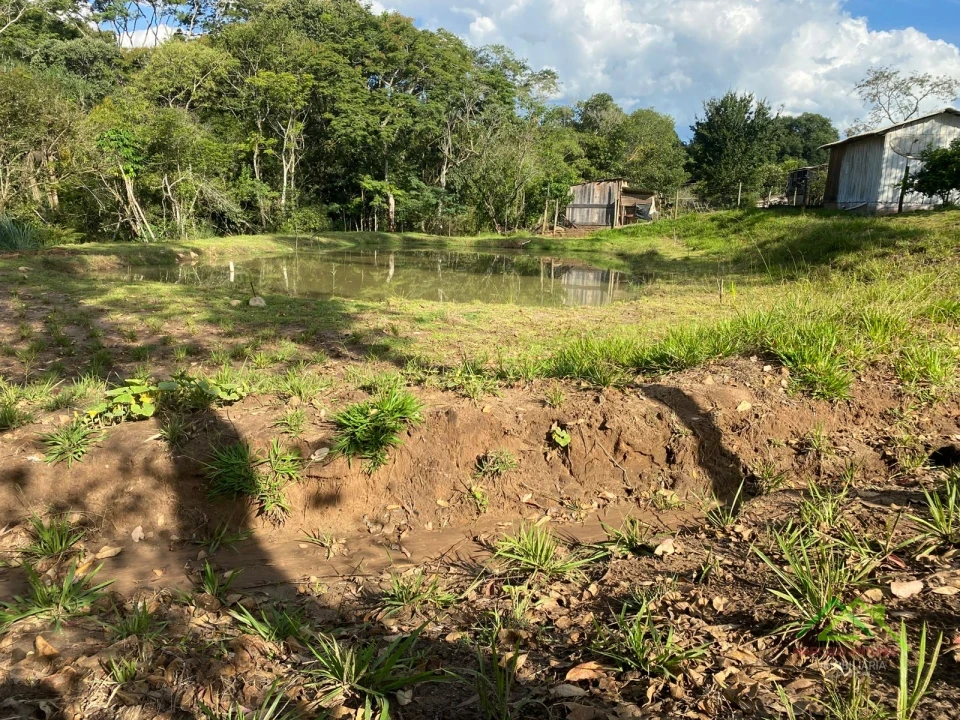 Imagens do imóveis 8,5 alqueires em Ortigueira/PR