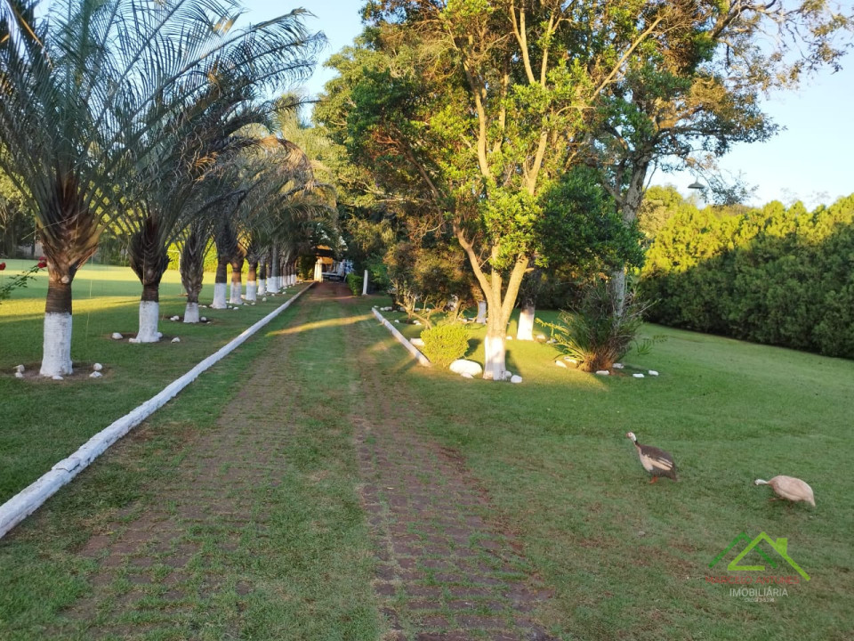 CHÁCARA NO BRASTILAVA Imagens do imóveis CHÁCARA NO BRASTILAVA