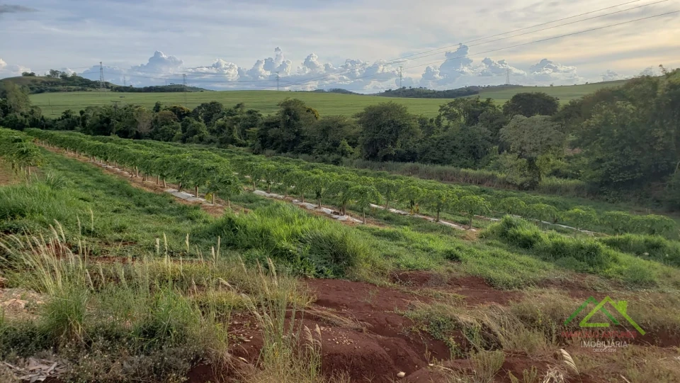 Imagens do imóveis Área com 4 alqueires na Gleba Coroados em Londrina