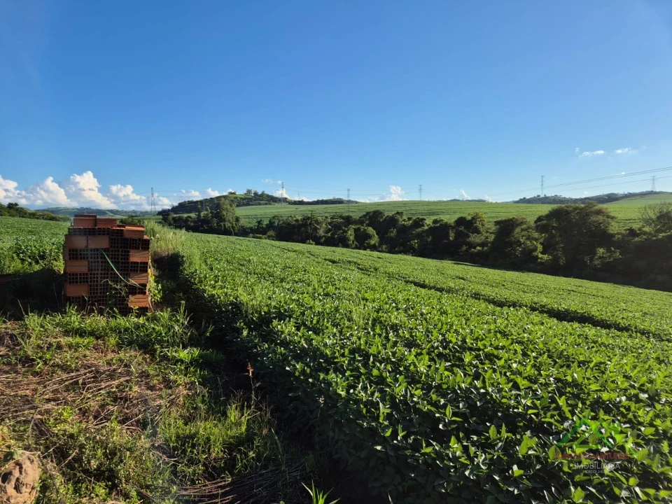 Imagens do imóveis Área com 4 alqueires na Gleba Coroados em Londrina