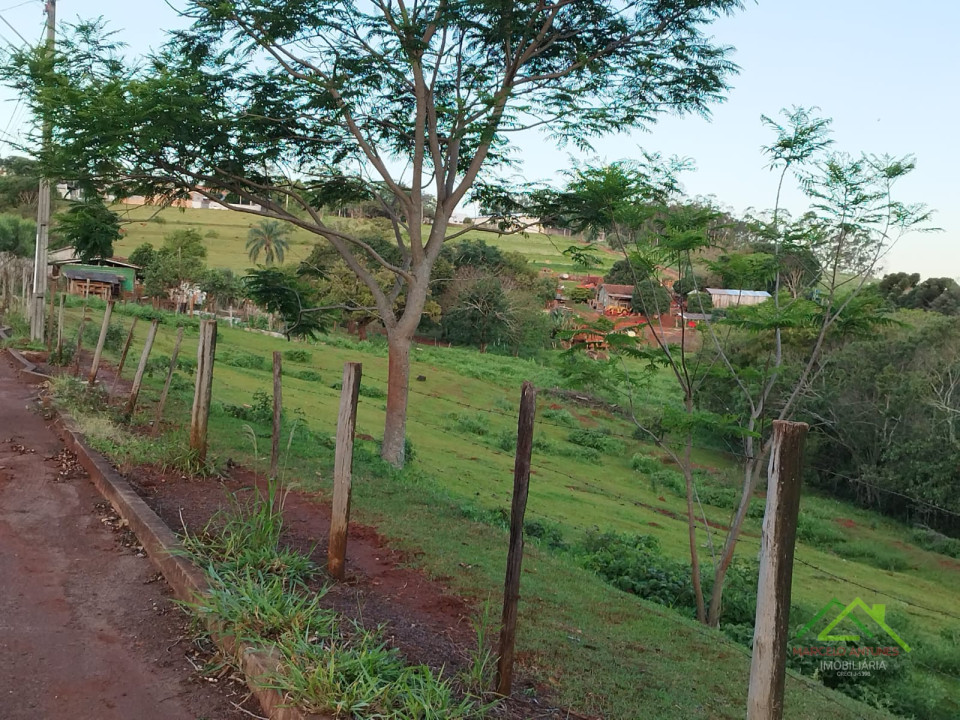 3 Alqueires aptos para Loteamento em Rolândia Imagens do imóveis 3 Alqueires aptos para Loteamento em Rolândia