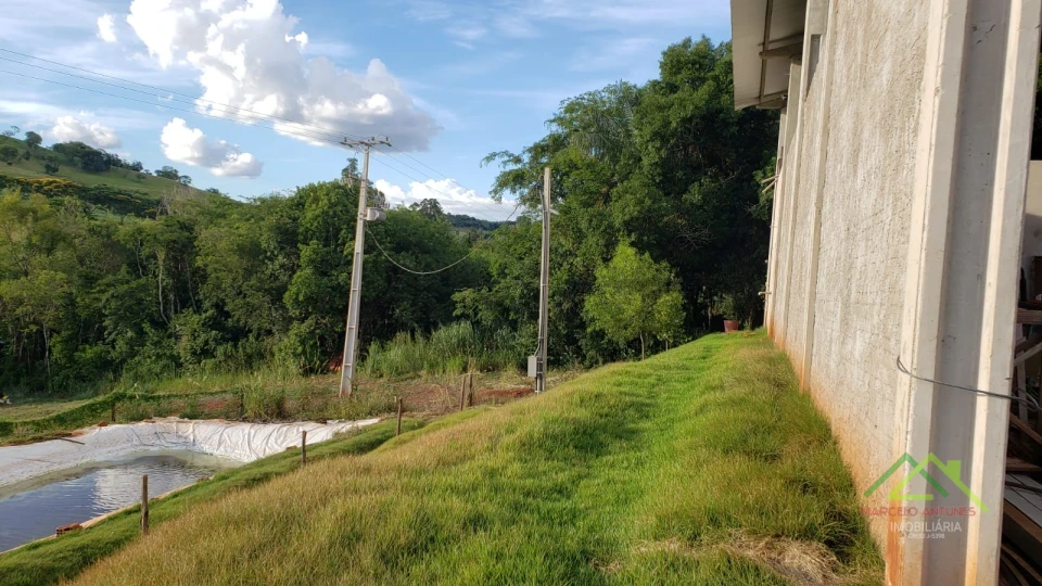 Imagens do imóveis Área com 4 alqueires na Gleba Coroados em Londrina