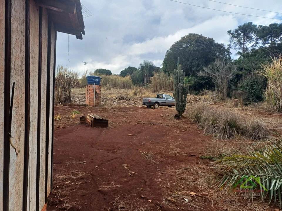 Imagens do imóveis Sítio com 5 alqueires predominante em pasto em Rolândia