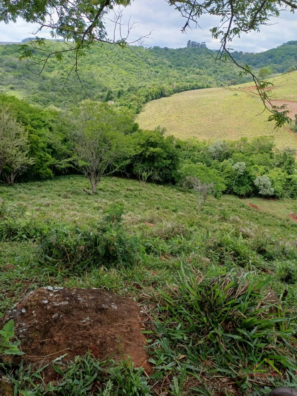 Imagens do imóveis Sítio com 5 alqueires predominante em pasto em Rolândia