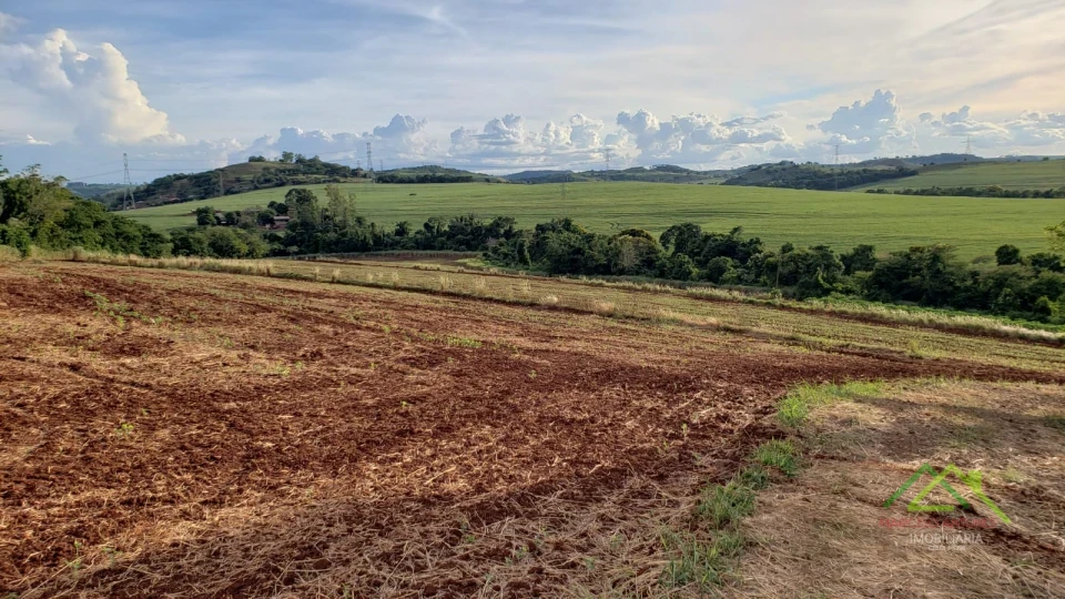 Imagens do imóveis Área com 4 alqueires na Gleba Coroados em Londrina