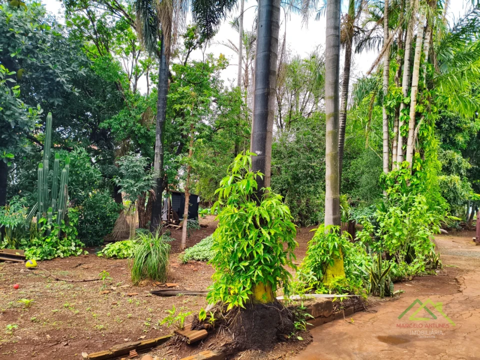 Imagens do imóveis Chácara Urbana