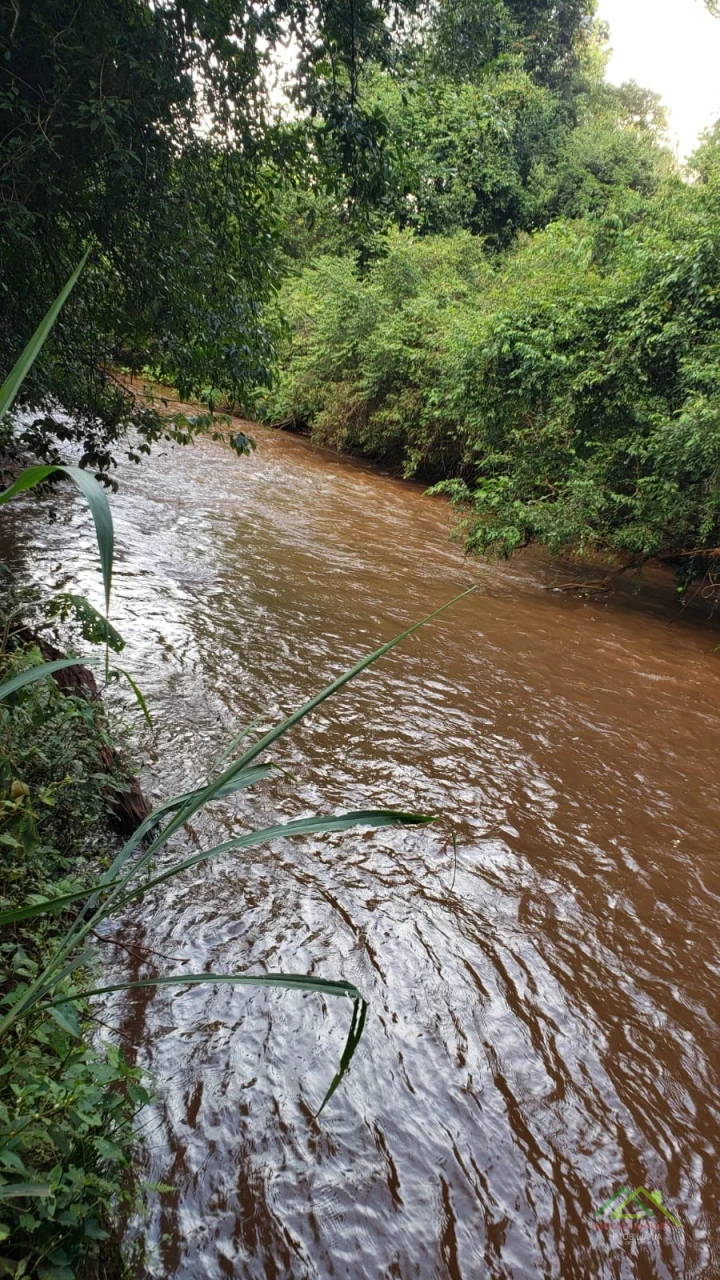Imagens do imóveis Área com 4 alqueires na Gleba Coroados em Londrina