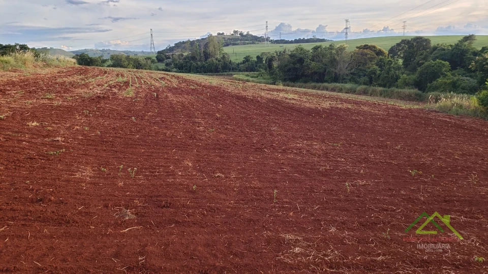 Imagens do imóveis Área com 4 alqueires na Gleba Coroados em Londrina