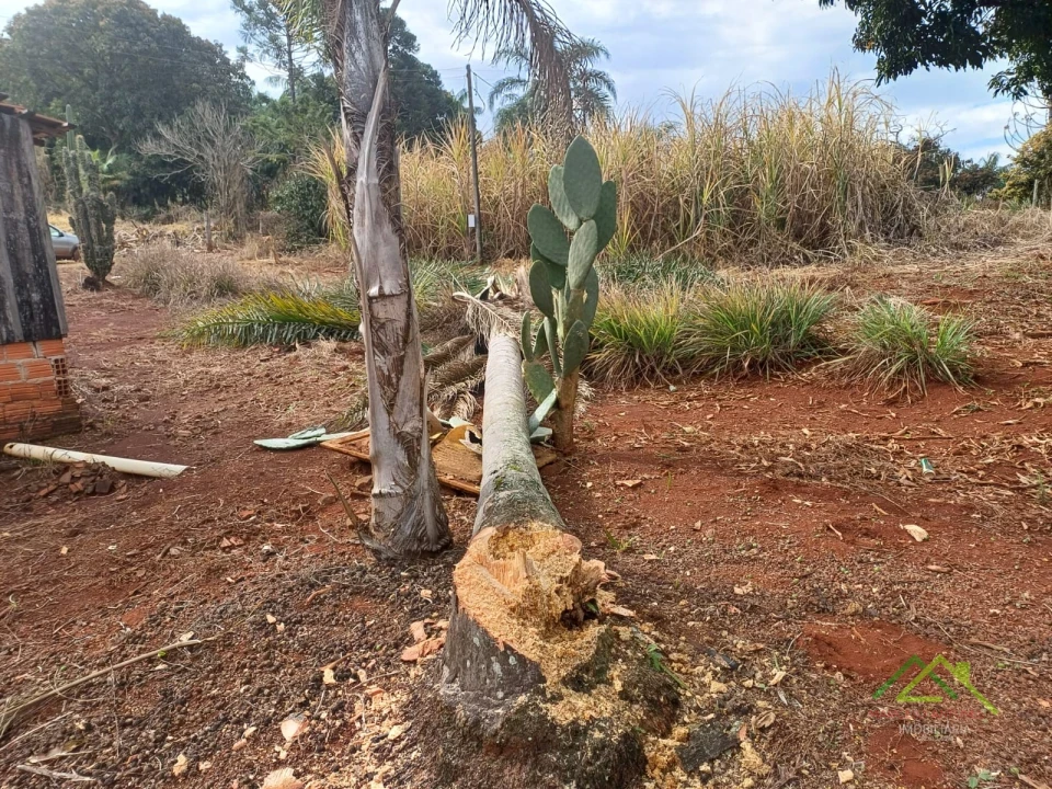 Imagens do imóveis Sítio com 5 alqueires predominante em pasto em Rolândia