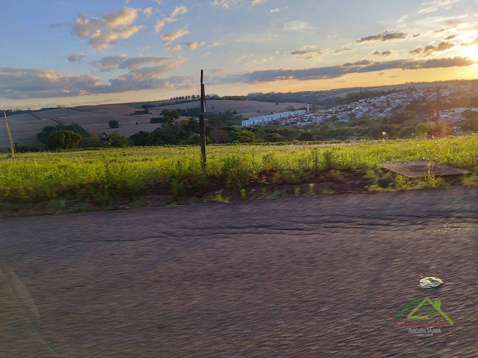 3 Alqueires aptos para Loteamento em Rolândia Imagens do imóveis 3 Alqueires aptos para Loteamento em Rolândia
