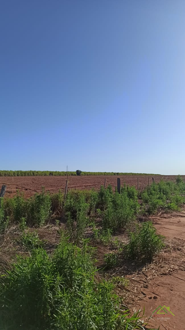 7.5 Alqueires em Miraselva Imagens do imóveis 7.5 Alqueires em Miraselva