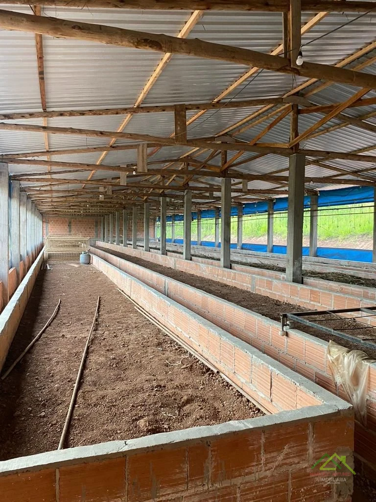 Imagens do imóveis 3 alqueires em meio em Tamarana