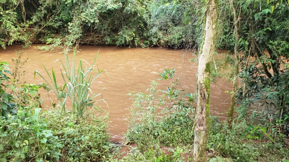 Imagens do imóveis Área com 4 alqueires na Gleba Coroados em Londrina