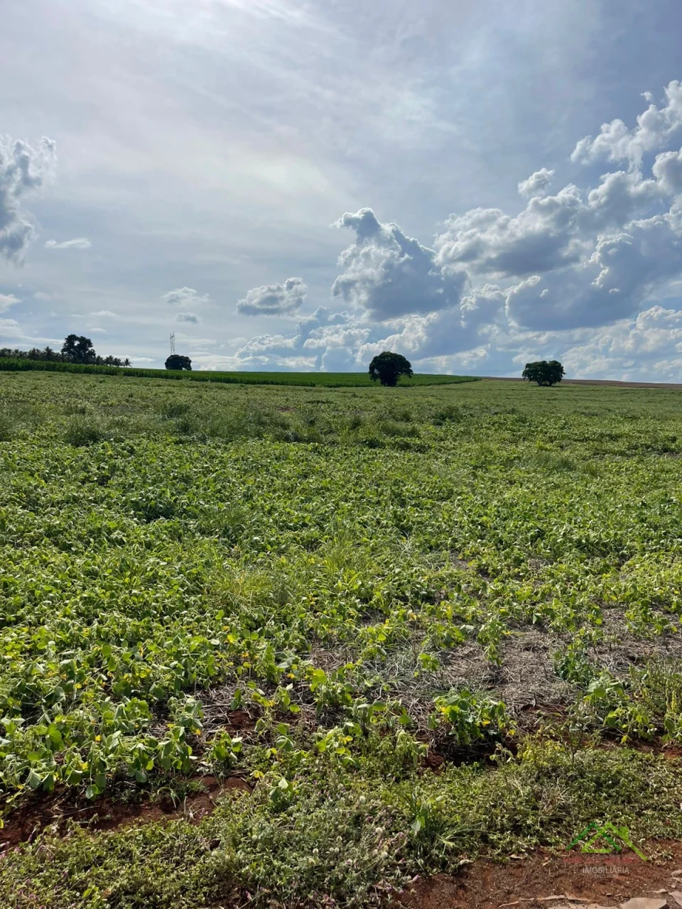 Imagens do imóveis Sitio Santa Helena com mais de 20.000m²