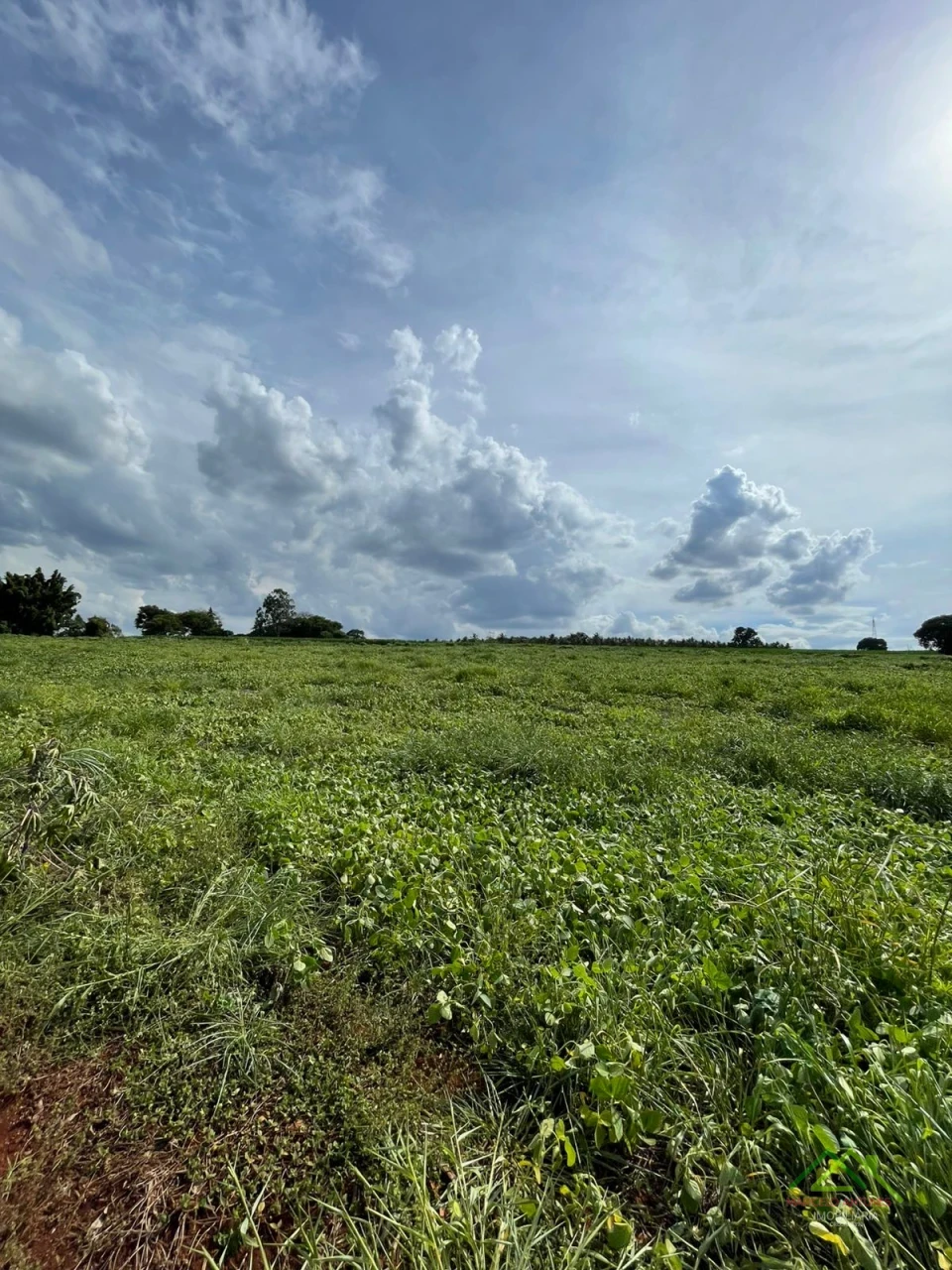 Imagens do imóveis Sitio Santa Helena com mais de 20.000m²