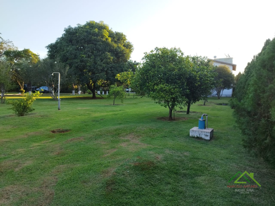 CHÁCARA NO BRASTILAVA Imagens do imóveis CHÁCARA NO BRASTILAVA