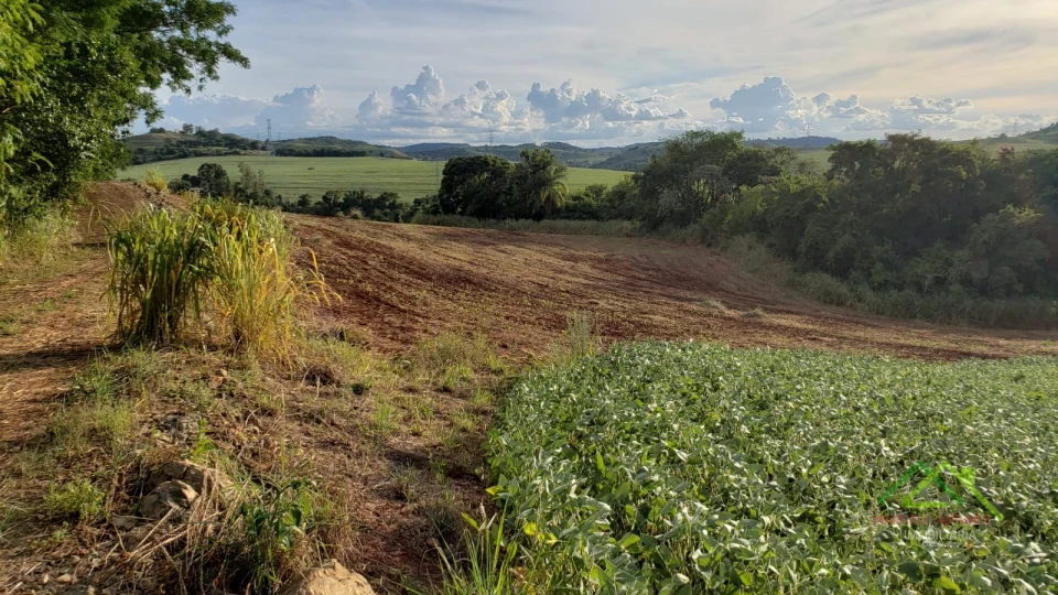 Imagens do imóveis Área com 4 alqueires na Gleba Coroados em Londrina