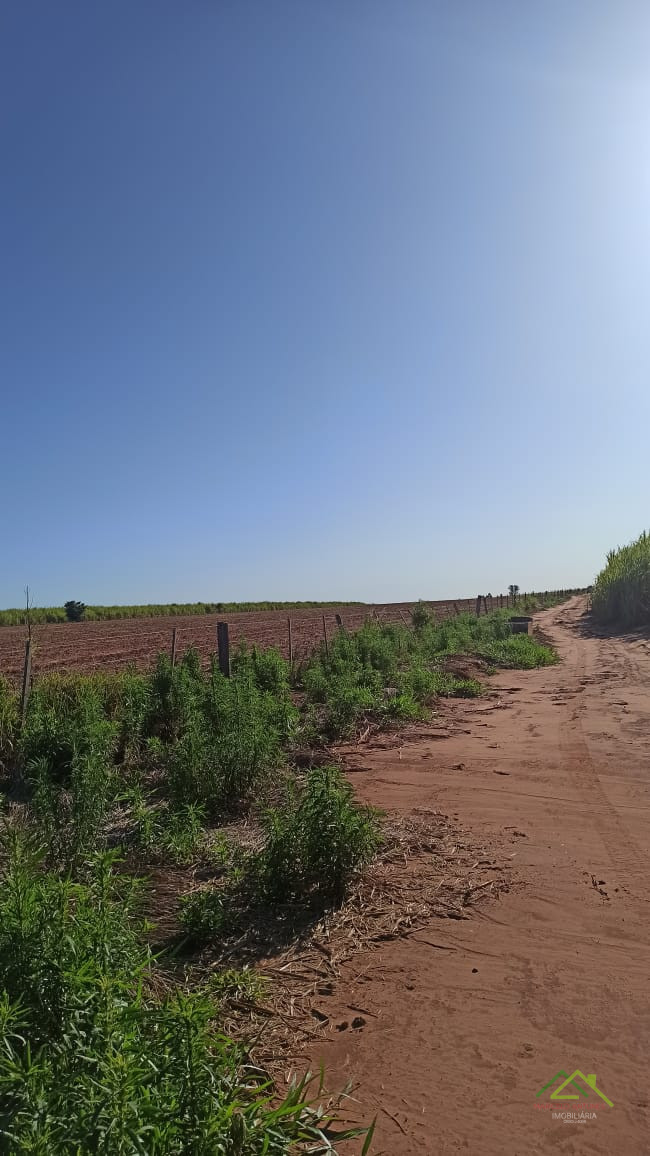 7.5 Alqueires em Miraselva Imagens do imóveis 7.5 Alqueires em Miraselva