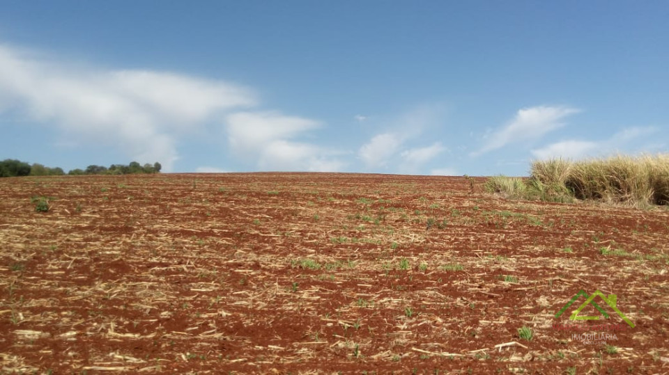 20 alqueires plantando 19,5 Imagens do imóveis 20 alqueires plantando 19,5