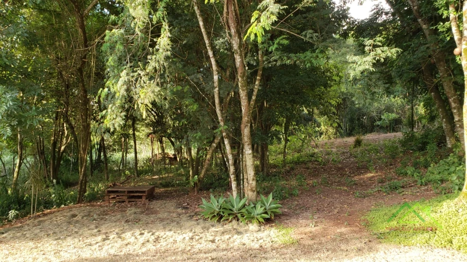 Imagens do imóveis Área com 4 alqueires na Gleba Coroados em Londrina