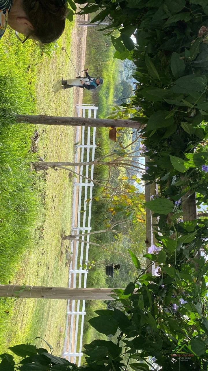 Imagens do imóveis 8,5 alqueires em Ortigueira/PR