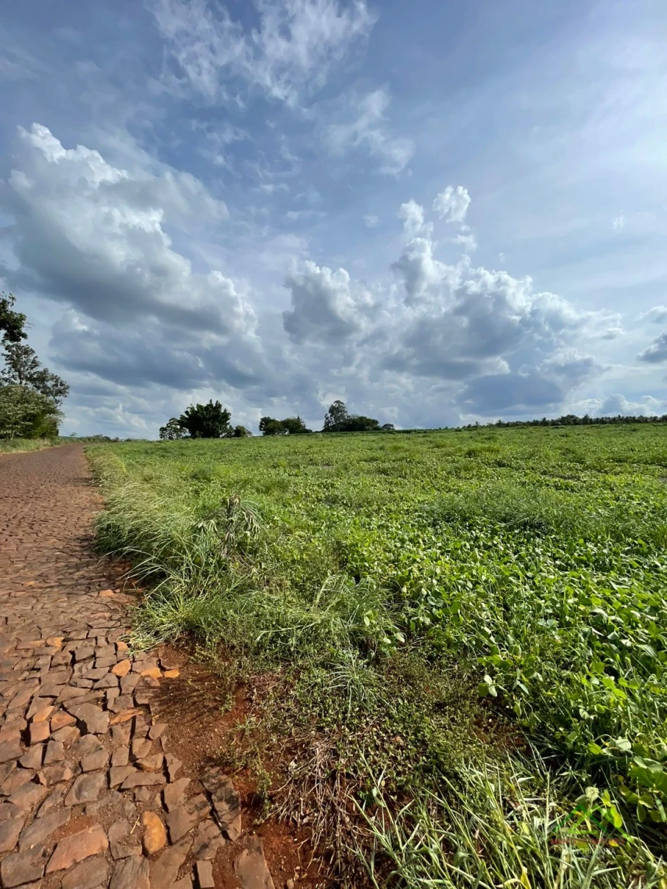 Imagens do imóveis Sitio Santa Helena com mais de 20.000m²