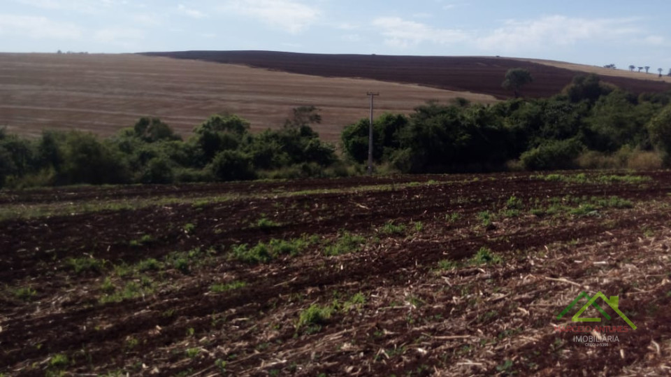 20 alqueires plantando 19,5 Imagens do imóveis 20 alqueires plantando 19,5