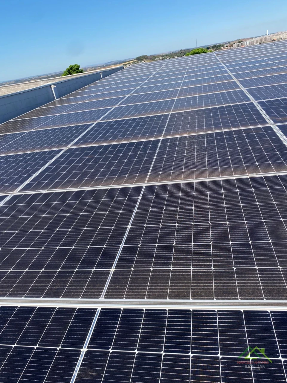 Imagens do imóveis Imóvel Comercial Essencial Supermercado