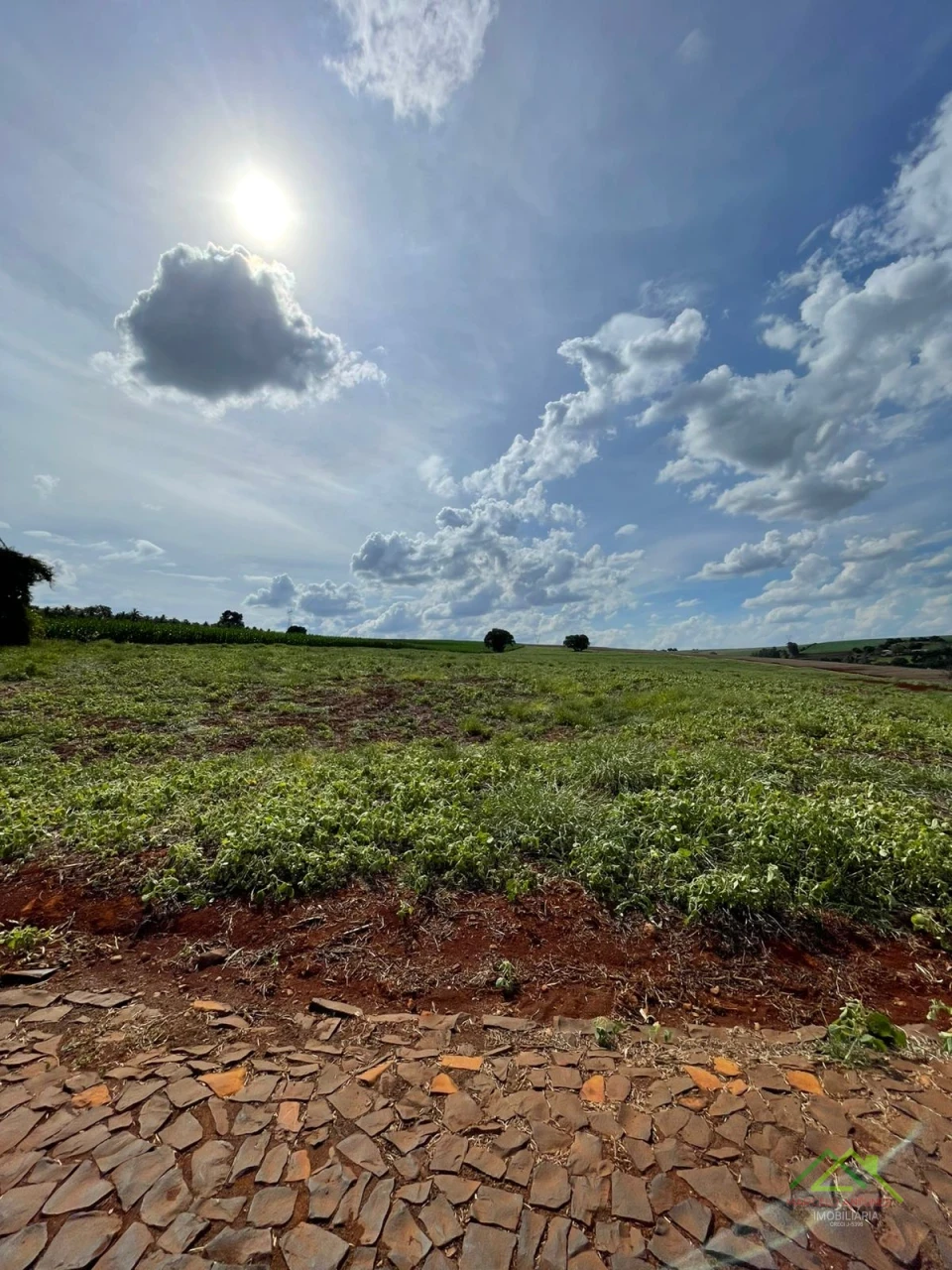 Imagens do imóveis Sitio Santa Helena com mais de 20.000m²