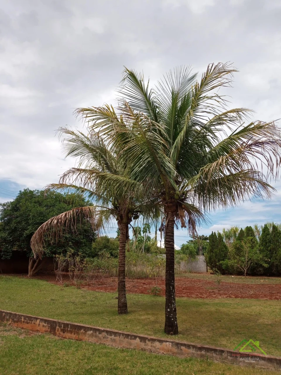 Imagens do imóveis Chácara 4000m² na Warta em Cambé