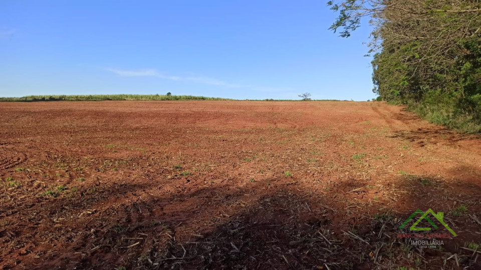 7.5 Alqueires em Miraselva Imagens do imóveis 7.5 Alqueires em Miraselva