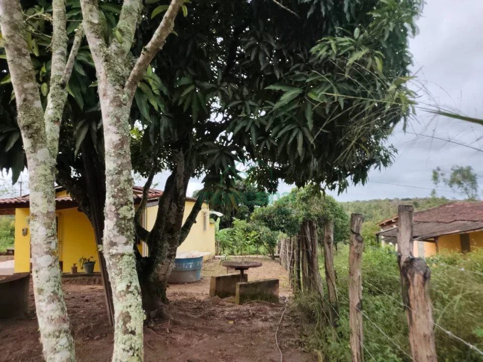 Imagens do imóveis Fazenda/Sítios/Chácaras À Venda Zona Rural Brejão