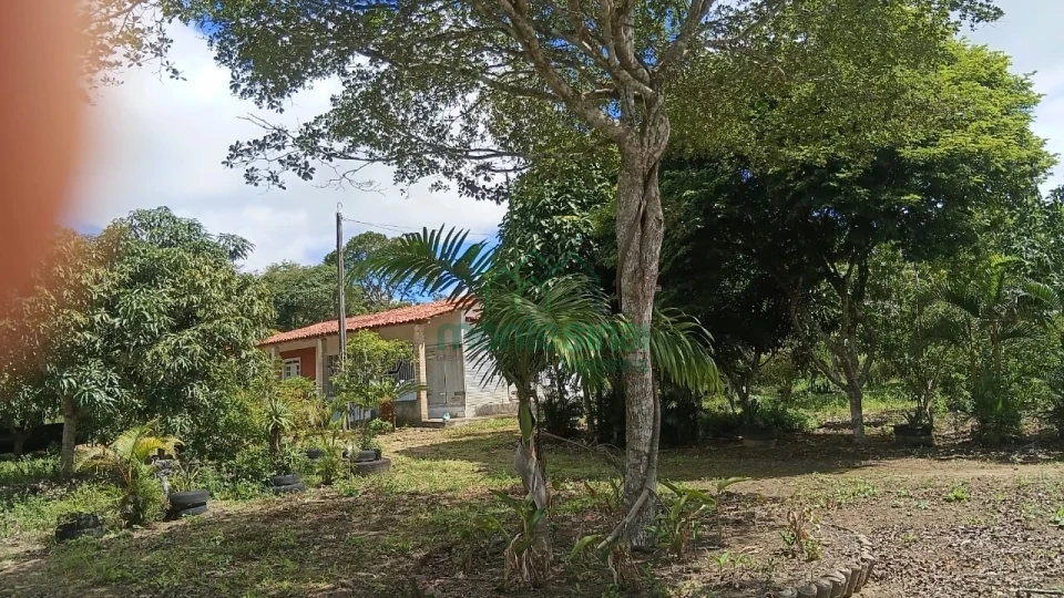 Imagens do imóveis Temos lotes a partir de 1.000 m² para você construir sua chácara e aproveitar momentos especiais com sua família!