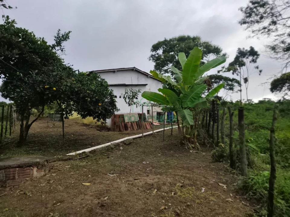 Imagens do imóveis Fazenda/Sítios/Chácaras À Venda Zona Rural Brejão